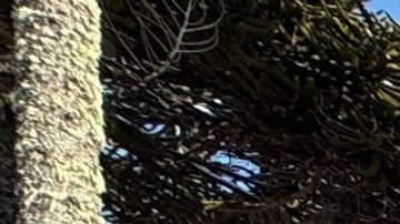 decisiones financieras equivocadas