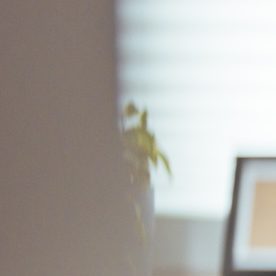 Autorizado por la Ley de Estadounidenses de Edad Avanzada, el SCSEP brinda capacitación para personas mayores desempleadas y con bajos ingresos.