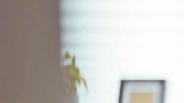 Autorizado por la Ley de Estadounidenses de Edad Avanzada, el SCSEP brinda capacitación para personas mayores desempleadas y con bajos ingresos.