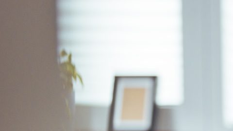 Autorizado por la Ley de Estadounidenses de Edad Avanzada, el SCSEP brinda capacitación para personas mayores desempleadas y con bajos ingresos.