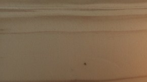 La mayoría de las ofertas de jubilación anticipada incluyen un paquete de indemnización basado en su salario anual y años de servicio en la empresa.