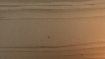 La mayoría de las ofertas de jubilación anticipada incluyen un paquete de indemnización basado en su salario anual y años de servicio en la empresa.