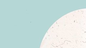 La demanda colectiva contra Albertsons, que pagará al menos $100 dólares a los afectados, alega que se violó la Ley de Protección al Consumidor Telefónico.