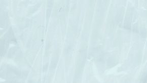 Para calificar para el Dividendo del Fondo Permanente de Alaska, los residentes deben cumplir con una serie de requisitos.