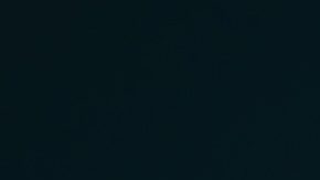 El sesgo de supervivencia se produce cuando sólo se consideran a los ganadores mientras que no se consideran a los perdedores que han desaparecido.