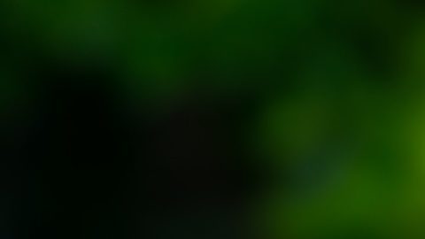 El trabajo en proceso (WIP) se refiere a productos parcialmente terminados que aún no están listos para la venta, con costos que incluyen materias primas, mano de obra y gastos generales.