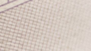 A partir del 20 de agosto, el nuevo programa de visas durará aproximadamente un año, según el aviso del gobierno.