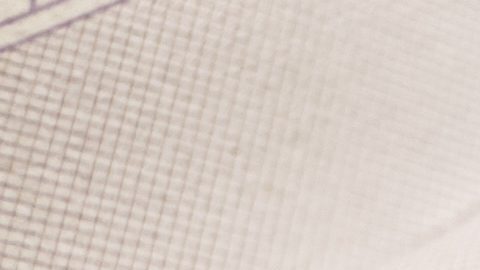 A partir del 20 de agosto, el nuevo programa de visas durará aproximadamente un año, según el aviso del gobierno.