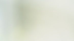 El dólar de plata de 1804 es una de las monedas raras estadounidenses más codiciadas, con solo 15 ejemplares conocidos hasta hace muy poco.