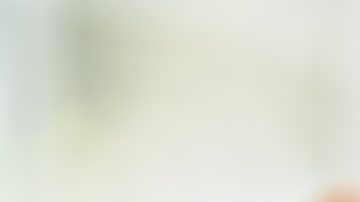 El dólar de plata de 1804 es una de las monedas raras estadounidenses más codiciadas, con solo 15 ejemplares conocidos hasta hace muy poco.