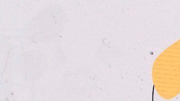 Un banco sin sucursales físicas podría ofrecer productos financieros adecuados para tus necesidades.