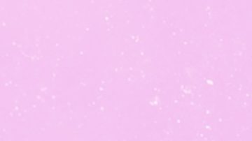 La USDA prevé que los precios de los alimentos, en casa, aumenten un 1.2% en 2026.