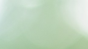 Impuesto federal sobre la herencia