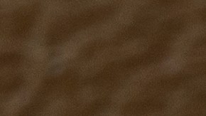 Wells Fargo y Chase Bank