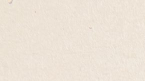 La Administración General de Servicios (GSA) planifica y lleva a cabo el manejo económico y eficiente de la propiedad y registros del Gobierno.