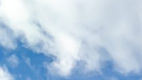 Burlington se especializa en ropa de marca para mujeres, hombres, niños y bebés, así como calzado, accesorios, decoración del hogar, juguetes y productos de belleza.