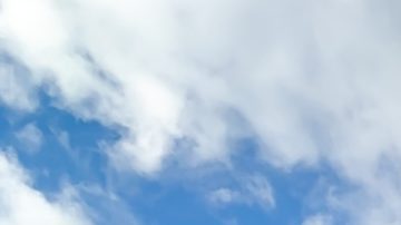 Burlington se especializa en ropa de marca para mujeres, hombres, niños y bebés, así como calzado, accesorios, decoración del hogar, juguetes y productos de belleza.