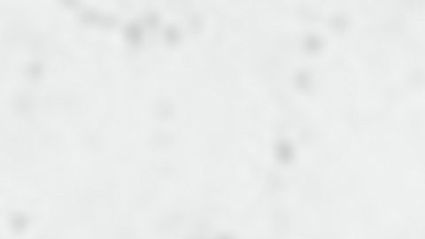 En el último trimestre del año las minoristas buscan cubrir vacantes estacionales para responder al aumento de clientes en esta temporada del año.