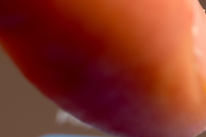 El uso de las tarjetas de crédito dentro de Venmo tienen restricciones particulares que los usuarios deben conocer antes.