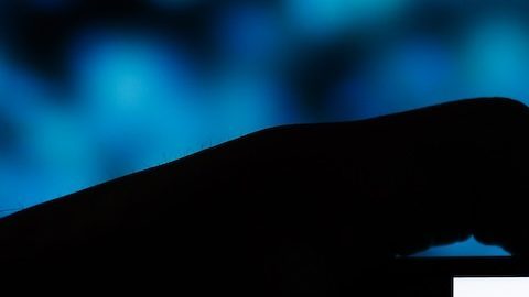 Las previsiones de la industria proyectan que la base de usuarios de Venmo alcanzará alrededor de 107.6 millones para finales de 2025.