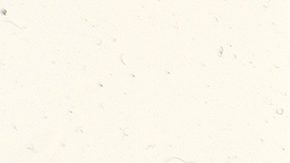 Micro Bird USA LLC, un fabricante líder de autobuses escolares y comerciales, ofrecerá una nueva ola de empleos para los residentes de Plattsburgh, Nueva York.