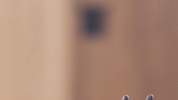 El nuevo alivio fiscal del IRS cubre 49 estados y el Distrito de Columbia.