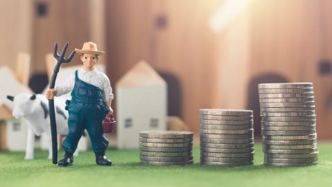 El nuevo alivio fiscal del IRS cubre 49 estados y el Distrito de Columbia.