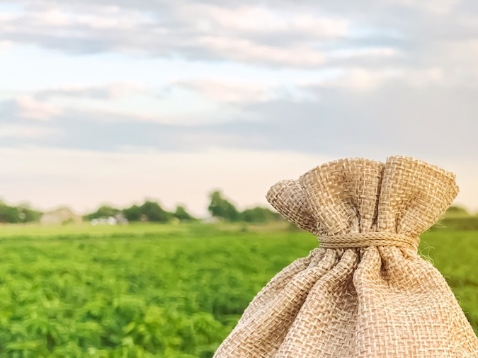 Para recibir el alivio fiscal del IRS los agricultores y ganaderos elegibles deben demostrar que la sequía provocó las ventas o los intercambios y que el área recibió una designación federal de sequía.