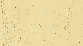 Cuando presenta tu solicitud para un listado en el portal de vivienda DAHLIA San Francisco, estás participando en una lotería para determinar tu lugar en la fila para solicitar unidades abiertas en un edificio de apartamentos.