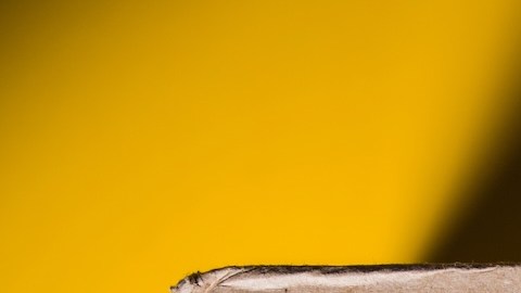 Según los términos del acuerdo, Amazon pagará $1,500 millones de dólares en reembolsos a los consumidores.