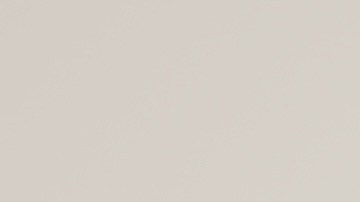 California se convirtió en el primer estado de los Estados Unidos en aprobar el Permiso Familiar Pagado en 2002. El programa entró en vigor el 1 de julio de 2004.