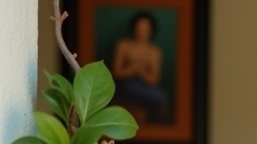 Adultos mayores en Estados