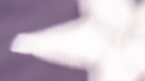 Cierre del gobierno de Estados Unidos