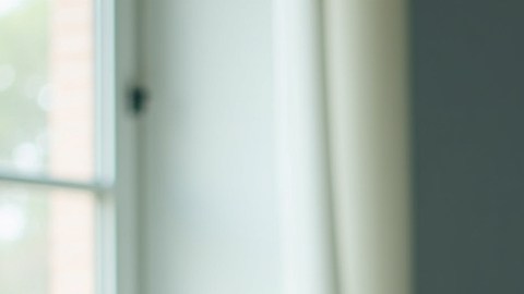 Contribuyentes del IRS