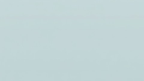 Deducción estándar