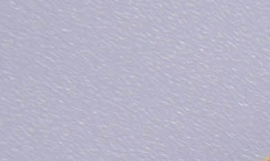 Internal Revenue Service