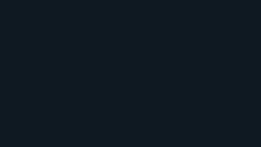 Fondos del mercado monetario