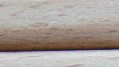 Seguro de vida universal