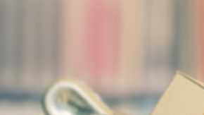 Caveat emptor significa "que el comprador tenga cuidado" e implica que el comprador asume la responsabilidad de garantizar la calidad del producto antes de la compra.