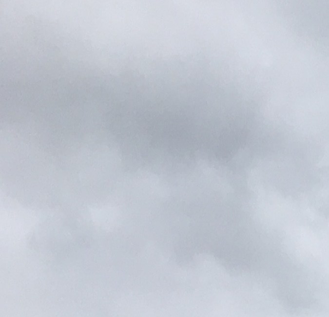 El presidente Donald Trump sugirió que algunos trabajadores federales no merecen recibir el pago atrasado una vez que termine el cierre.