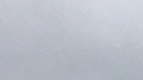 El presidente Donald Trump sugirió que algunos trabajadores federales no merecen recibir el pago atrasado una vez que termine el cierre.