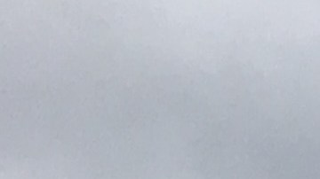 El presidente Donald Trump sugirió que algunos trabajadores federales no merecen recibir el pago atrasado una vez que termine el cierre.