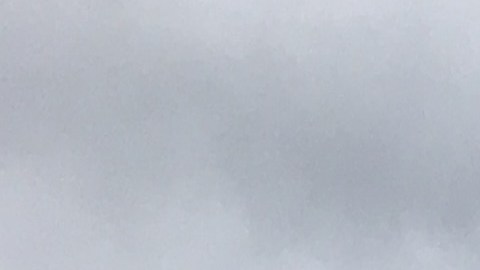 El presidente Donald Trump sugirió que algunos trabajadores federales no merecen recibir el pago atrasado una vez que termine el cierre.