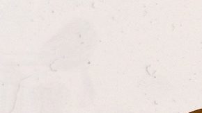 Conocer el beneficio mensual promedio del Seguro Social puede ayudarle a tener una mejor idea de cuánto ingreso puede esperar durante la jubilación.