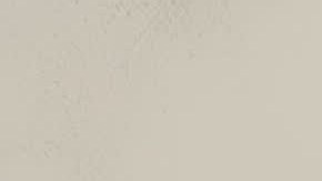 Llenar un tanque de 15 galones con gasolina regular sin plomo en Florida ahora cuesta alrededor de $44 dólares, $2.50 menos que el año pasado.