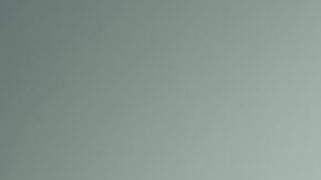 Aunque no realice ningún pago en una hipoteca inversa, se acumulan intereses y tarifas.