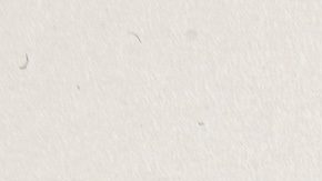 Target contrata miembros de temporada en sus casi 2,000 tiendas y más de 60 instalaciones de la cadena de suministro para satisfacer la demanda local.