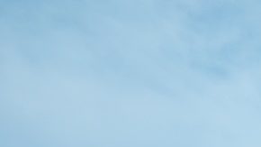 Trader Joe's es conocido por sus productos únicos de marca privada, precios asequibles y un ambiente de tienda divertido y peculiar.