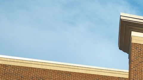 Trader Joe's es conocido por sus productos únicos de marca privada, precios asequibles y un ambiente de tienda divertido y peculiar.