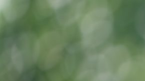 La Universidad de Colgate está ampliando su compromiso para hacer la educación más accesible.